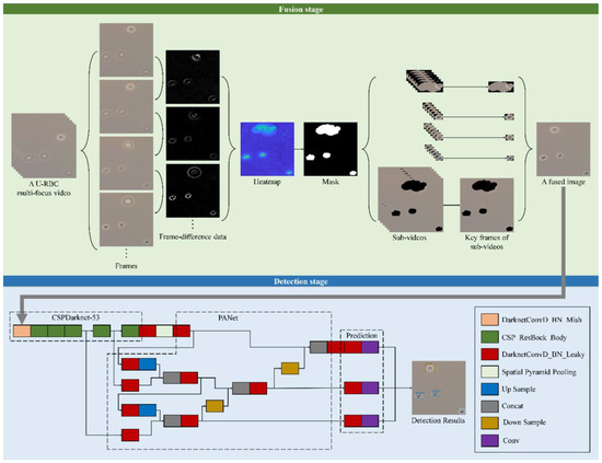 Electronics | Free Full-Text | An Accurate Urine Red Blood Cell ...