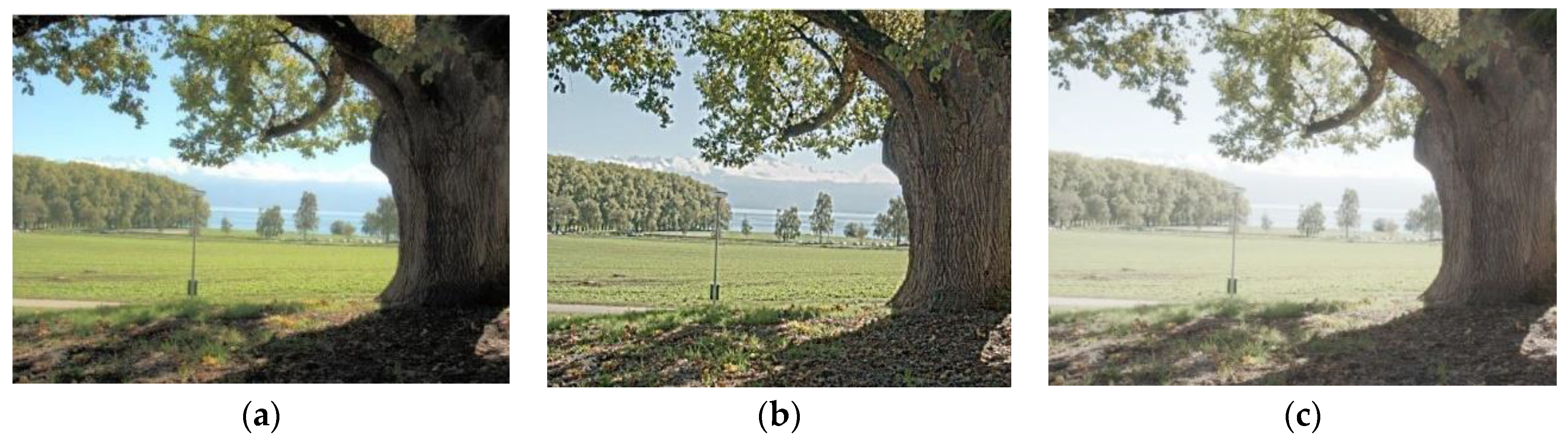 Electronics 12 00031 g006a