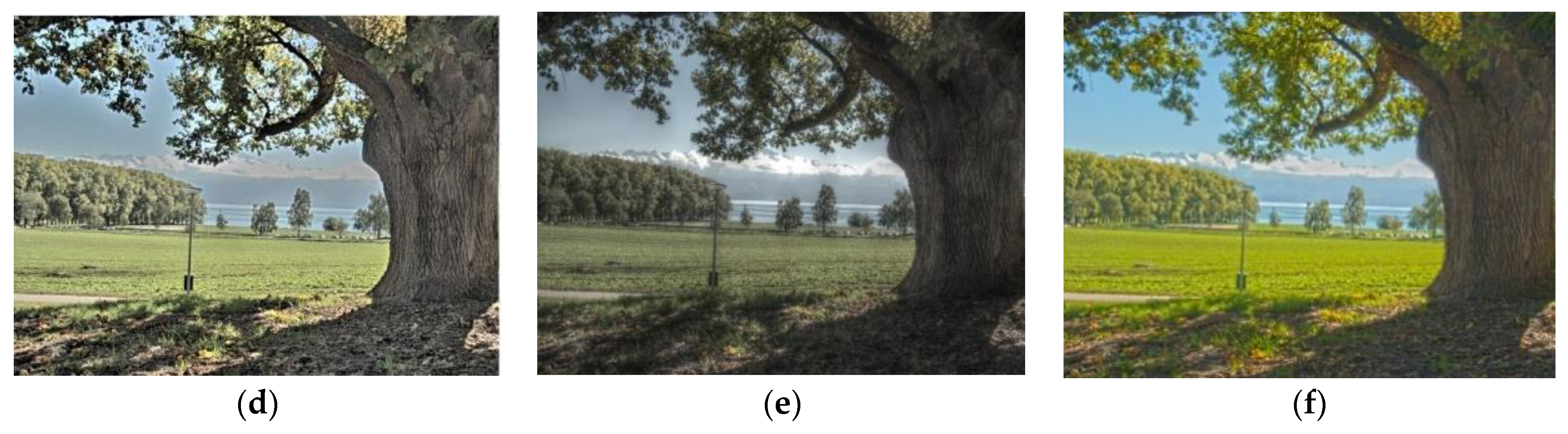 Electronics 12 00031 g006b