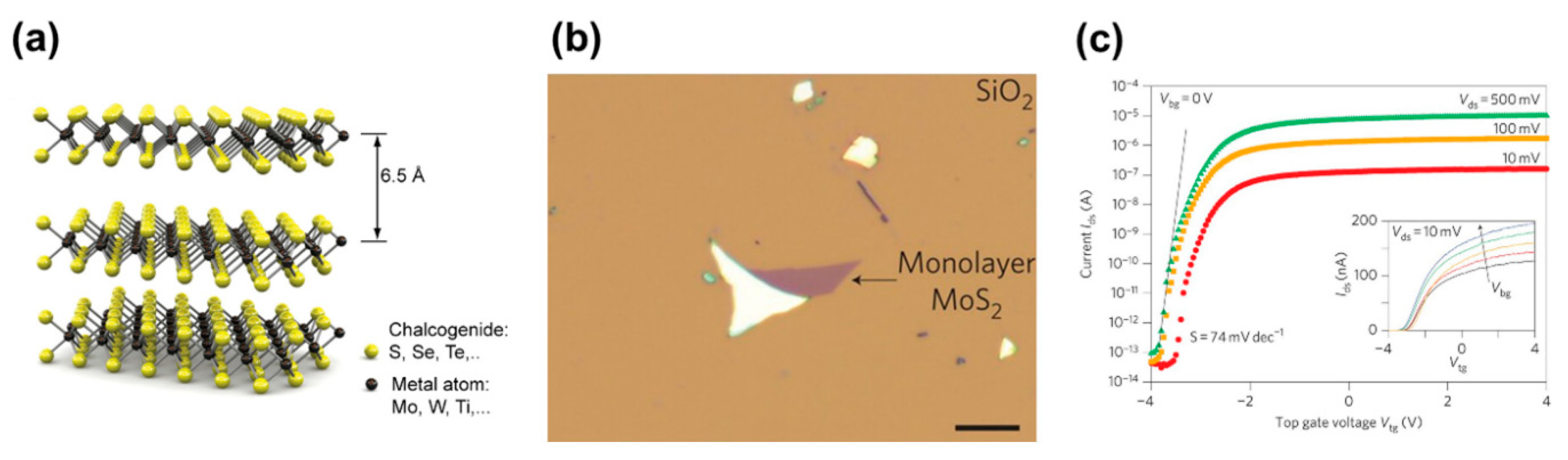 Electronics 12 00045 g003 Electronics 12 00045 g003
