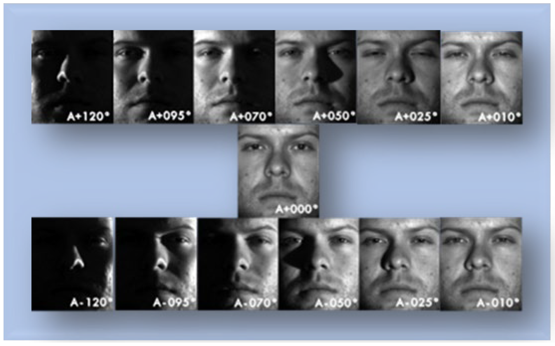 Electronics 12 00166 g008