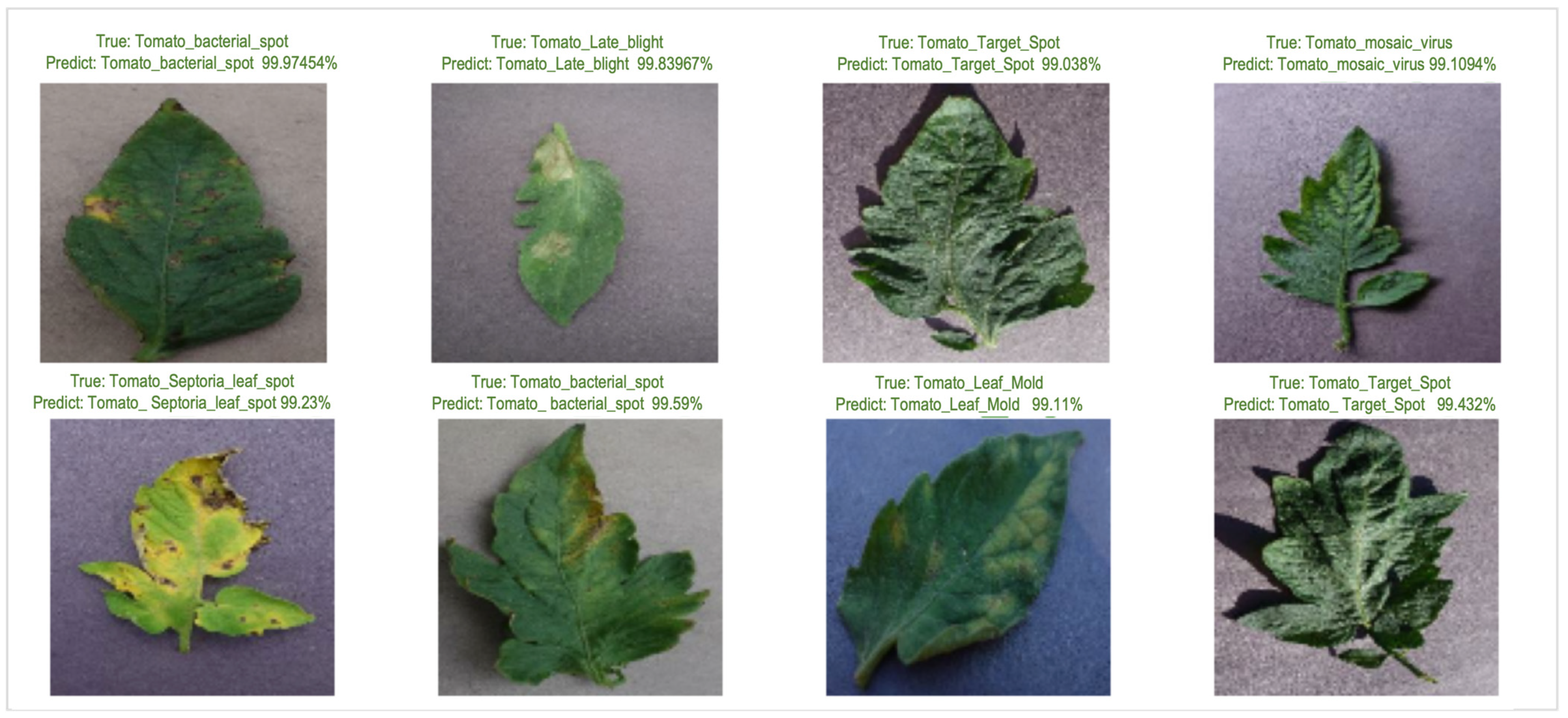 Electronics 12 00229 g007 Electronics 12 00229 g007