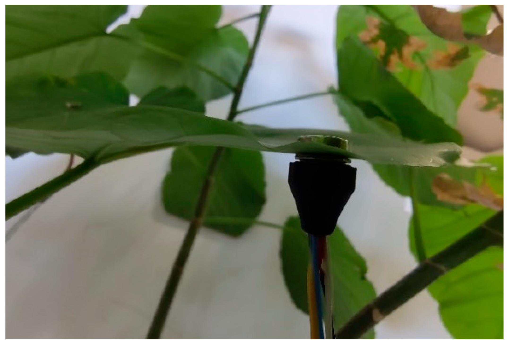 Electronics 12 00249 g007 Electronics 12 00249 g007