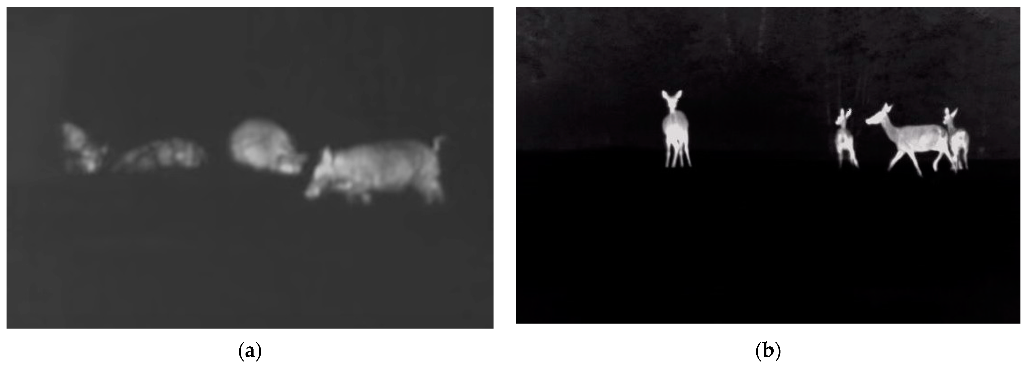 Electronics 12 00270 g001