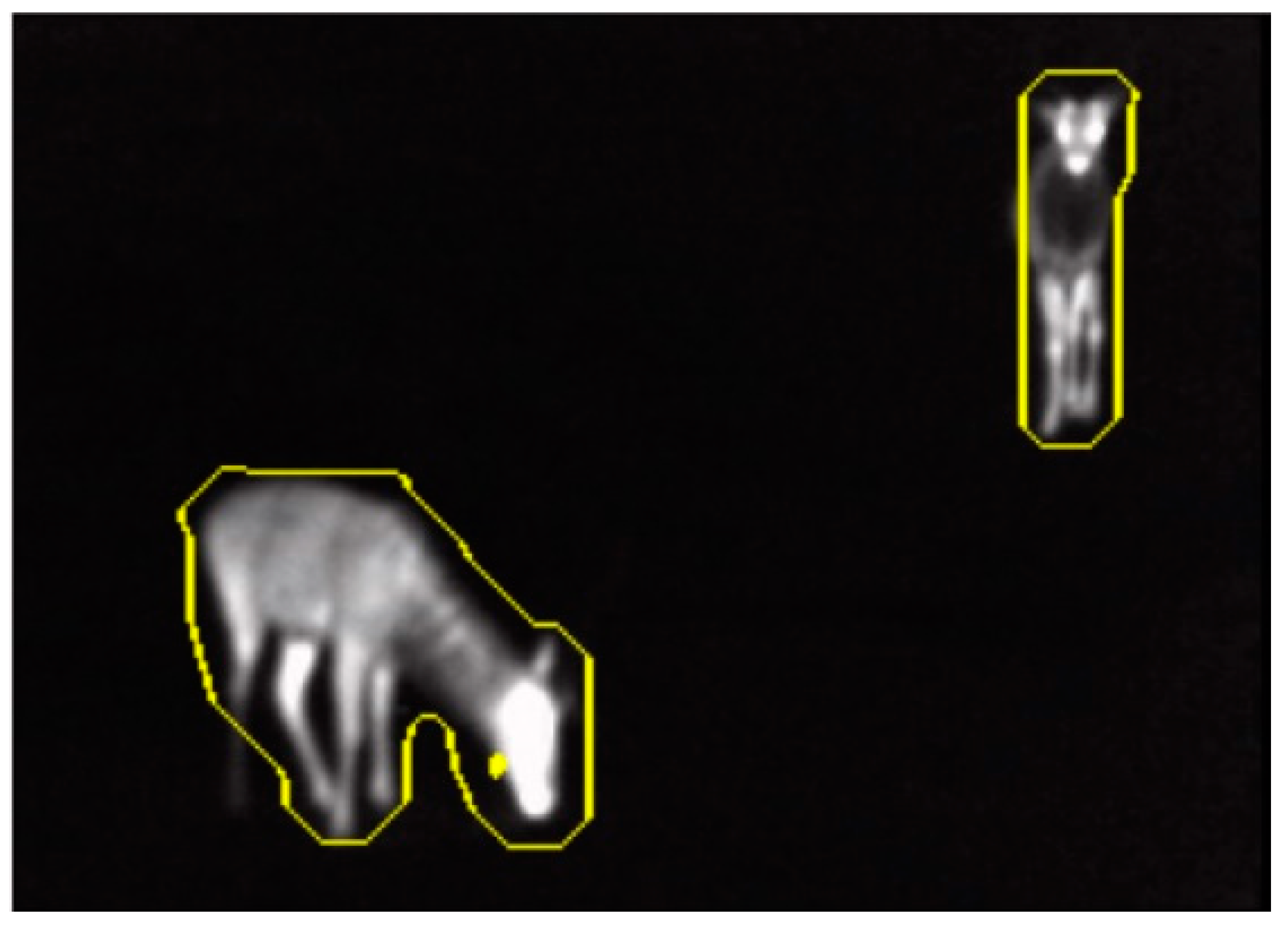 Electronics 12 00270 g003