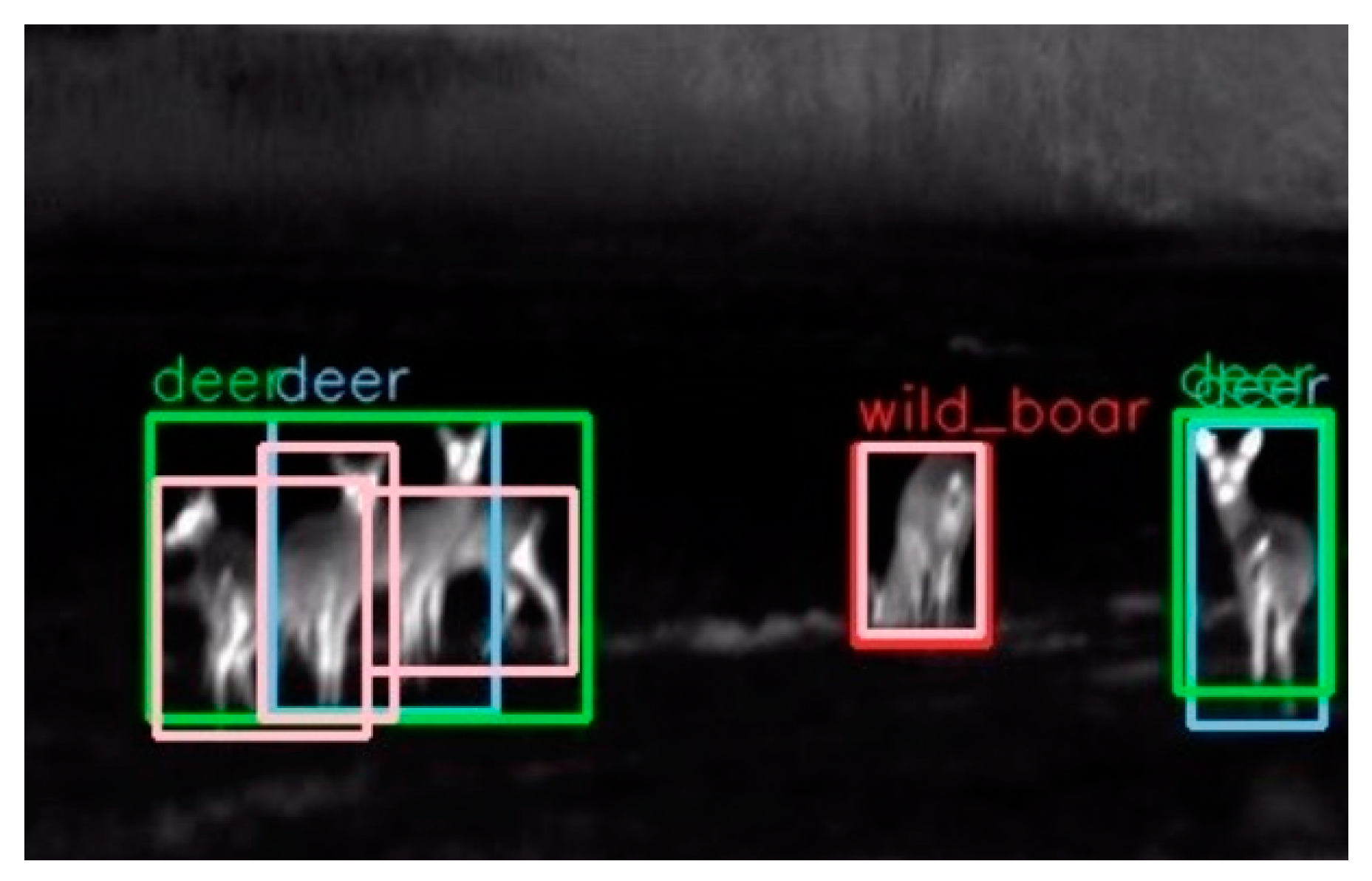 thermal camera for animal detection