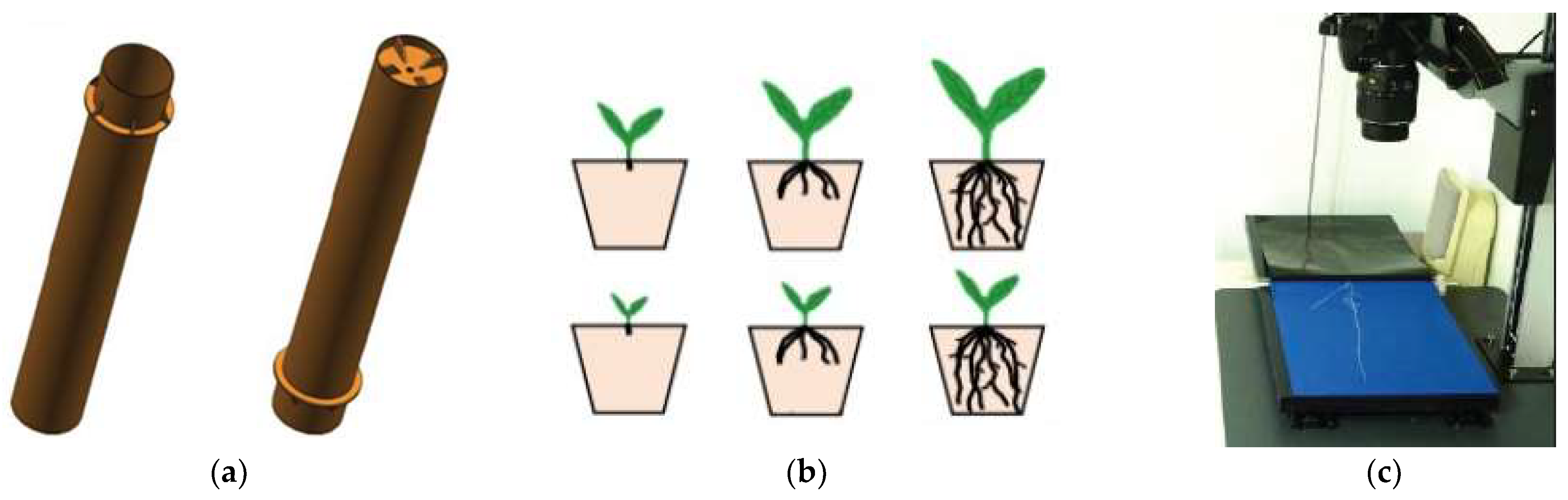 Electronics 12 00276 g002a