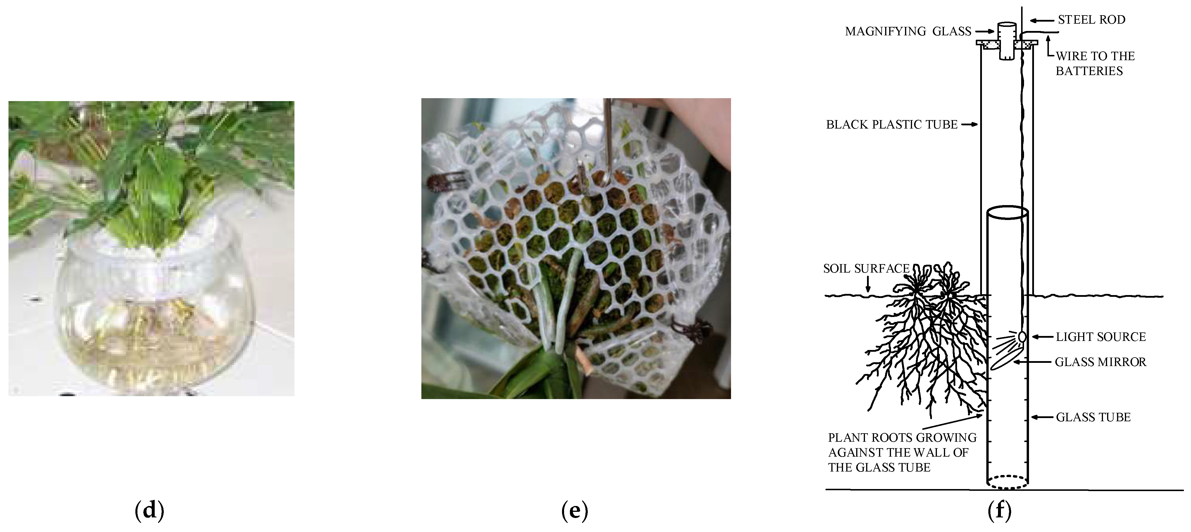Electronics 12 00276 g002b