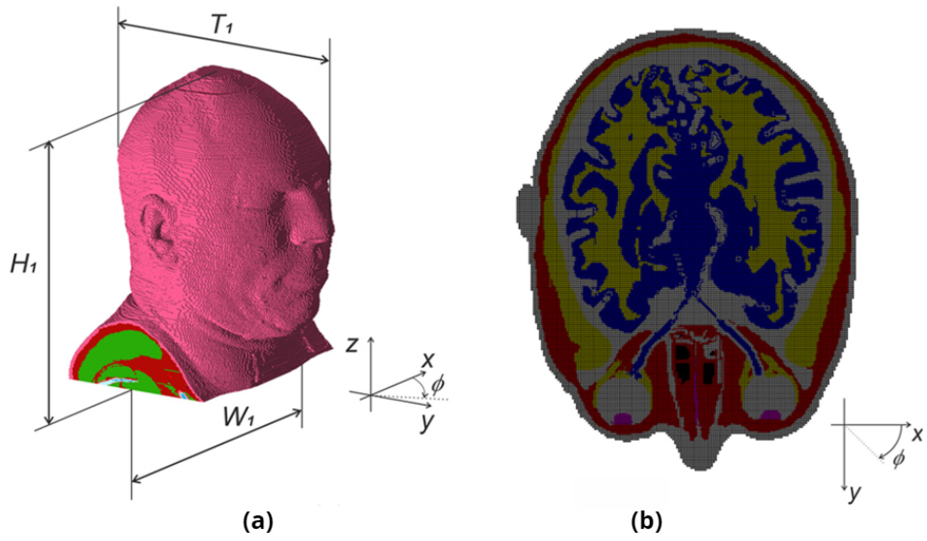 Electronics 12 00291 g002