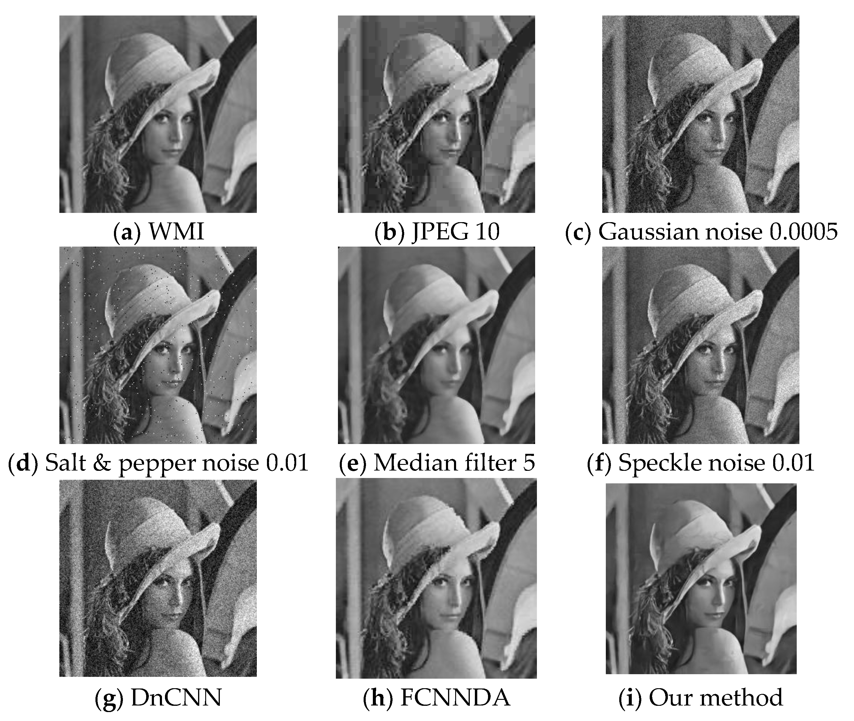 Electronics 12 00303 g003