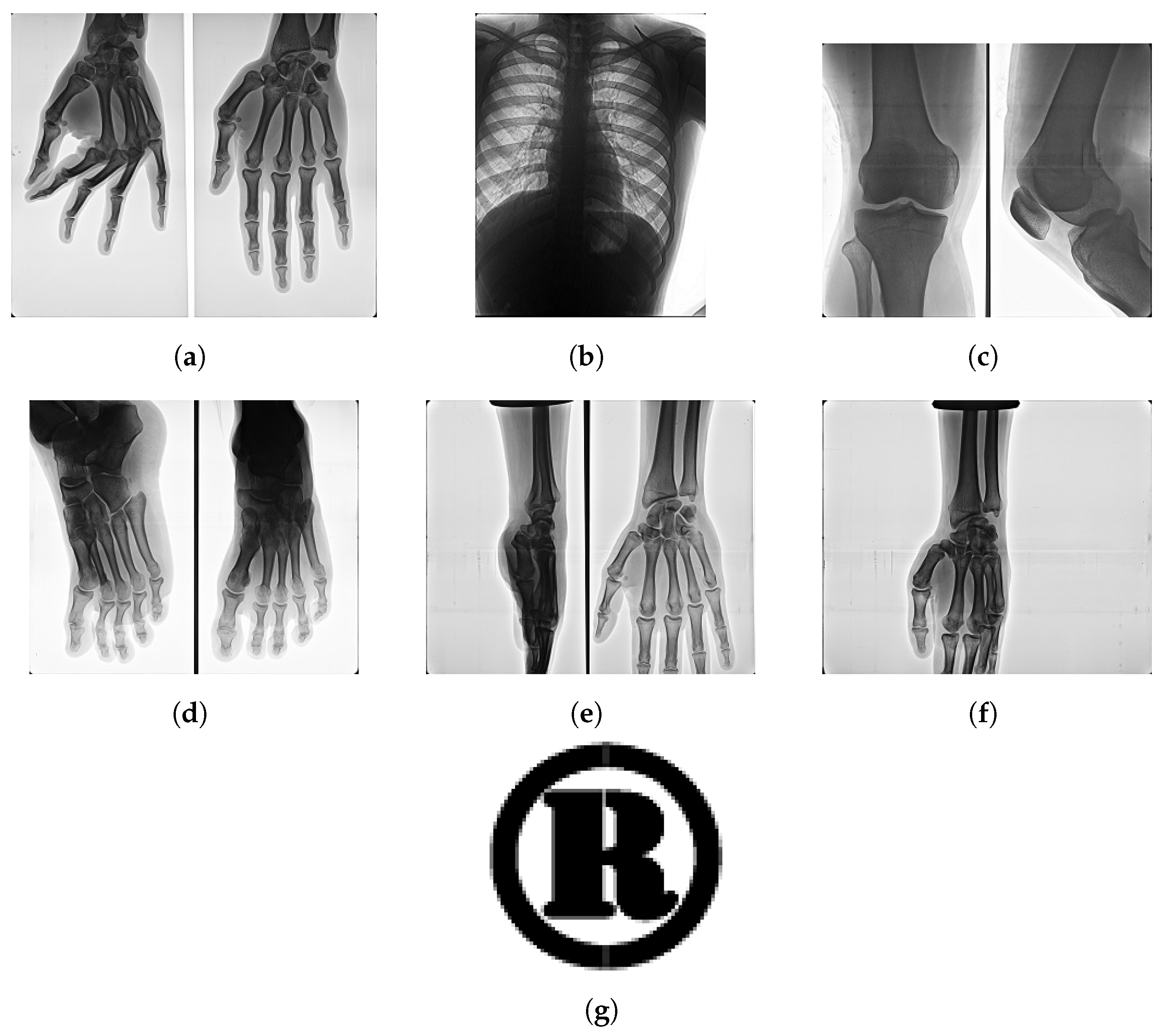 Electronics 12 00334 g005 Electronics 12 00334 g005