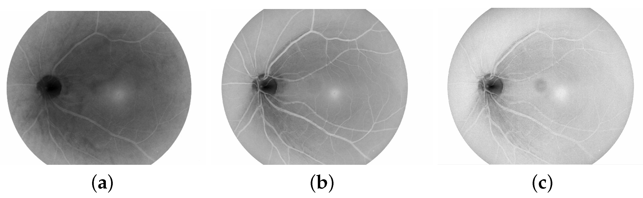 Electronics 12 00396 g003