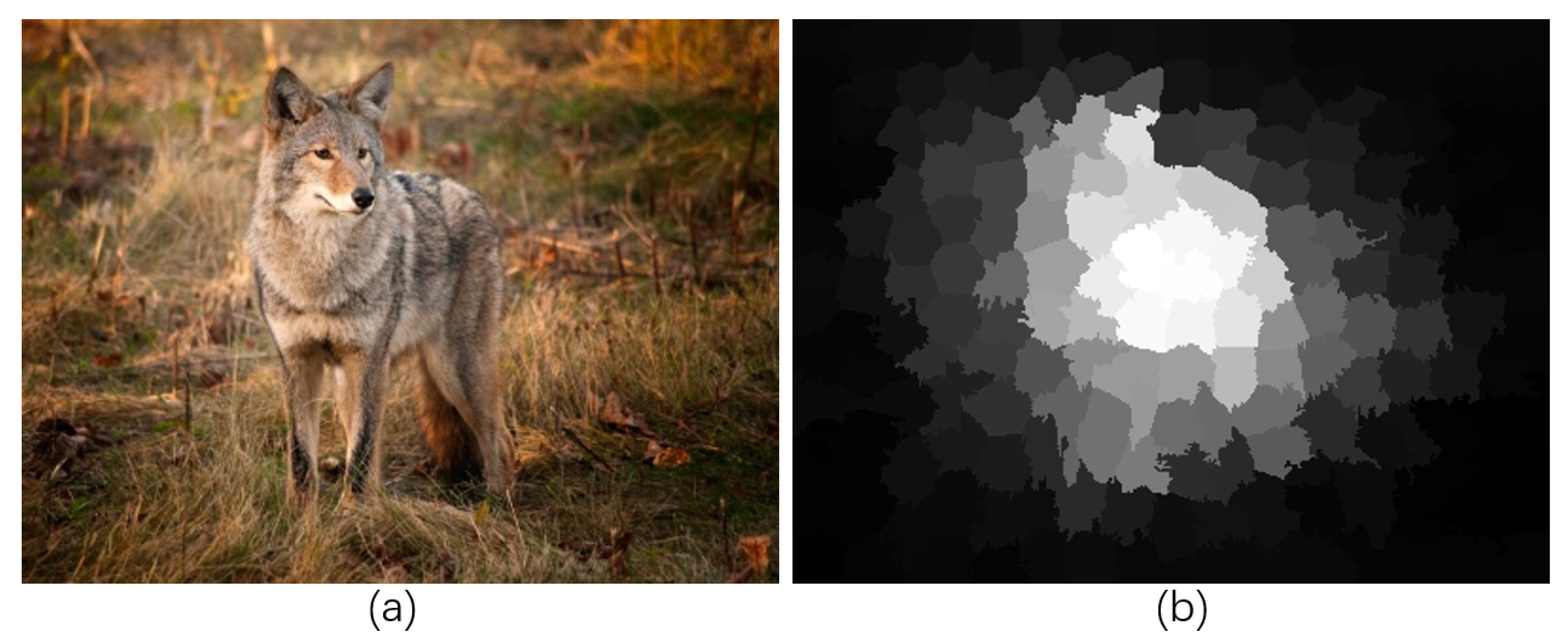 Electronics 12 00449 g008 Electronics 12 00449 g008