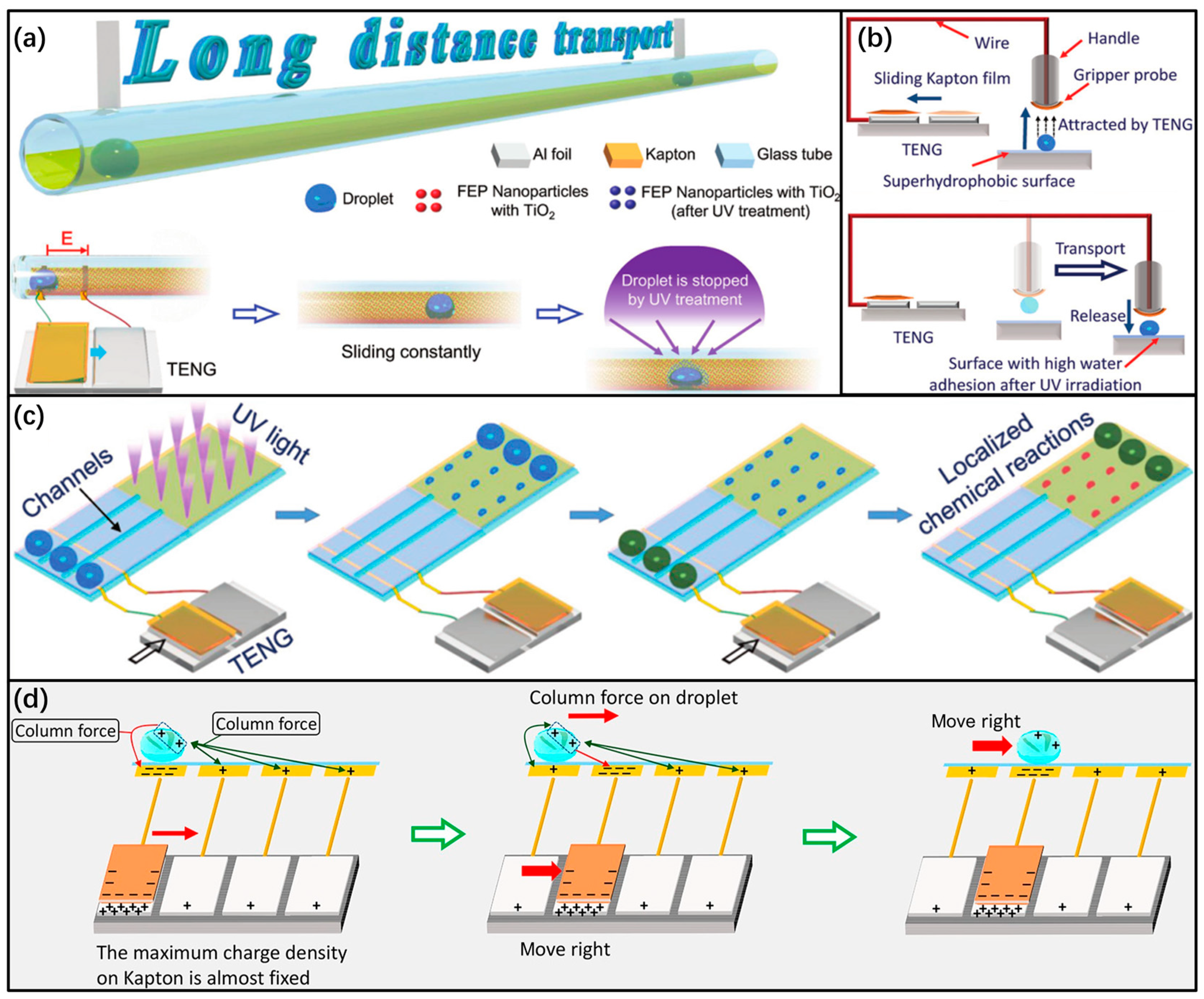 Electronics 12 00522 g004 Electronics 12 00522 g004