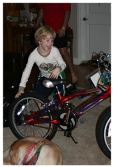 Electronics 12 00541 i003