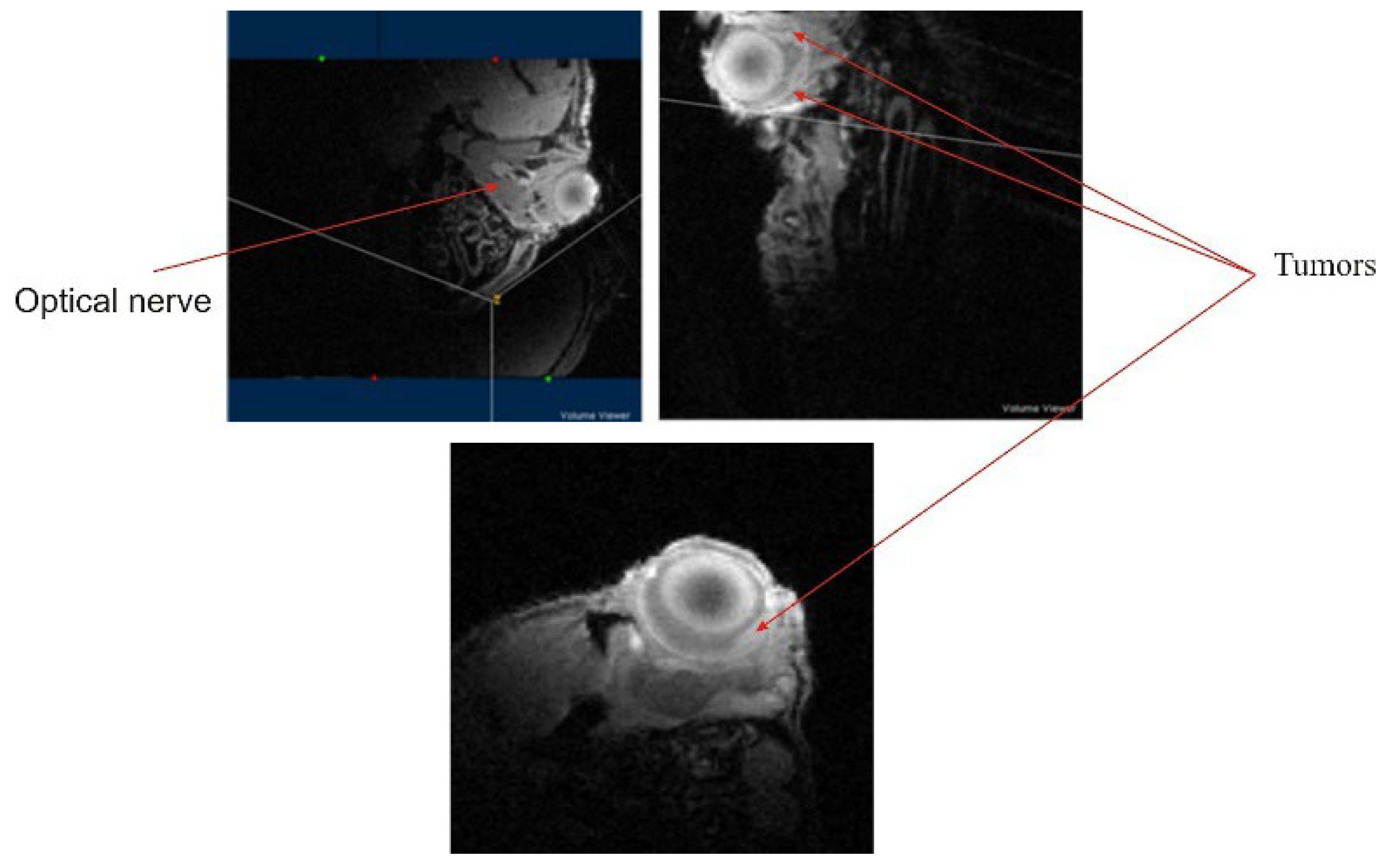 Electronics 12 00594 g013