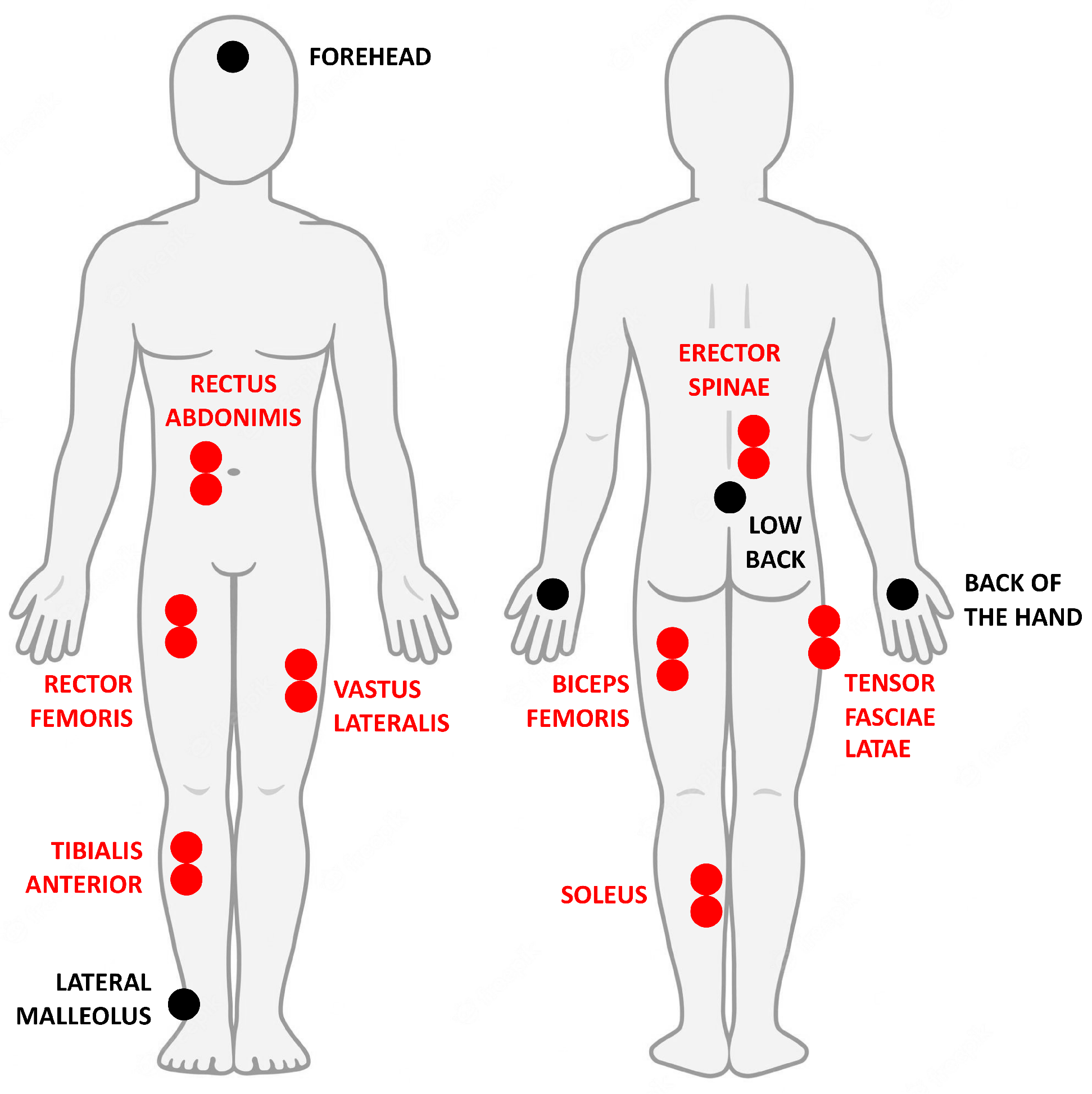 Electronics 12 00644 g007 Electronics 12 00644 g007