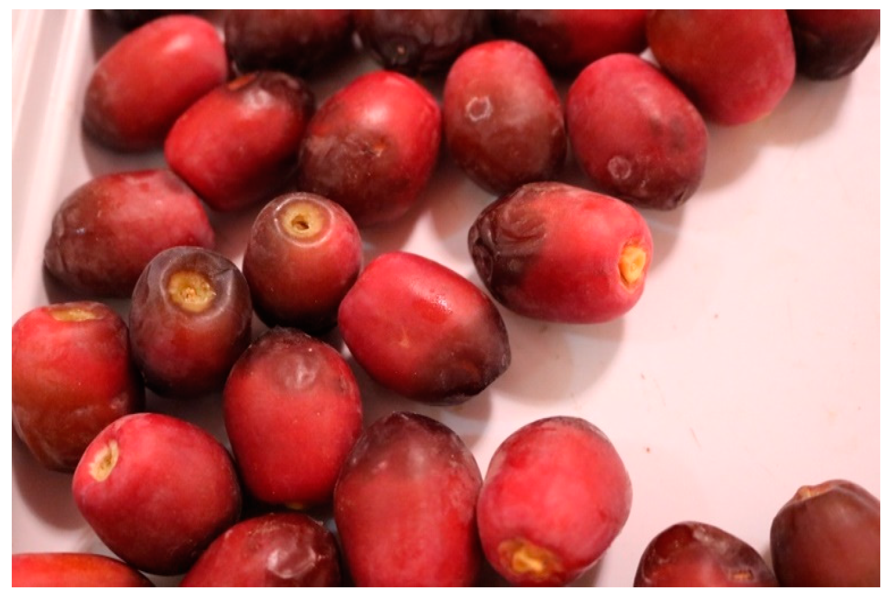 Electronics 12 00665 g012