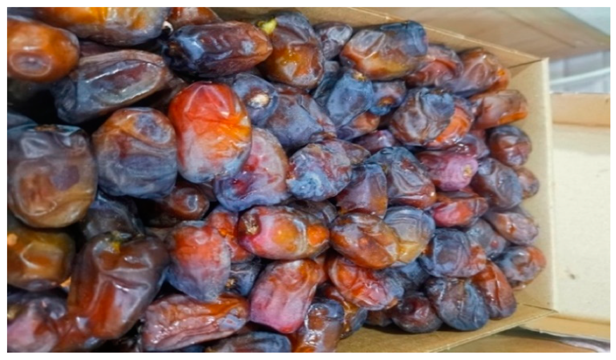 Electronics 12 00665 g020