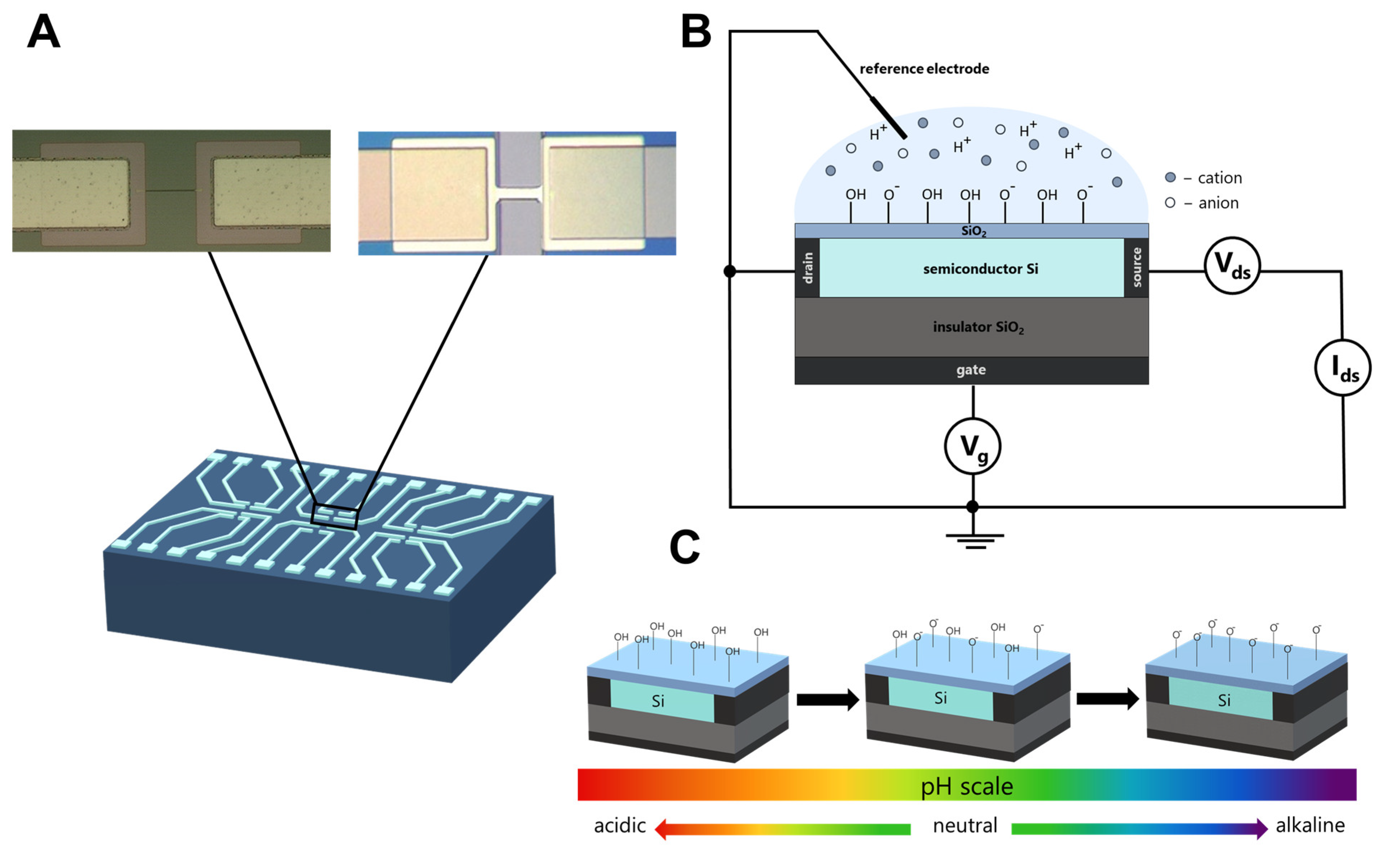 Electronics 12 00777 g001 Electronics 12 00777 g001
