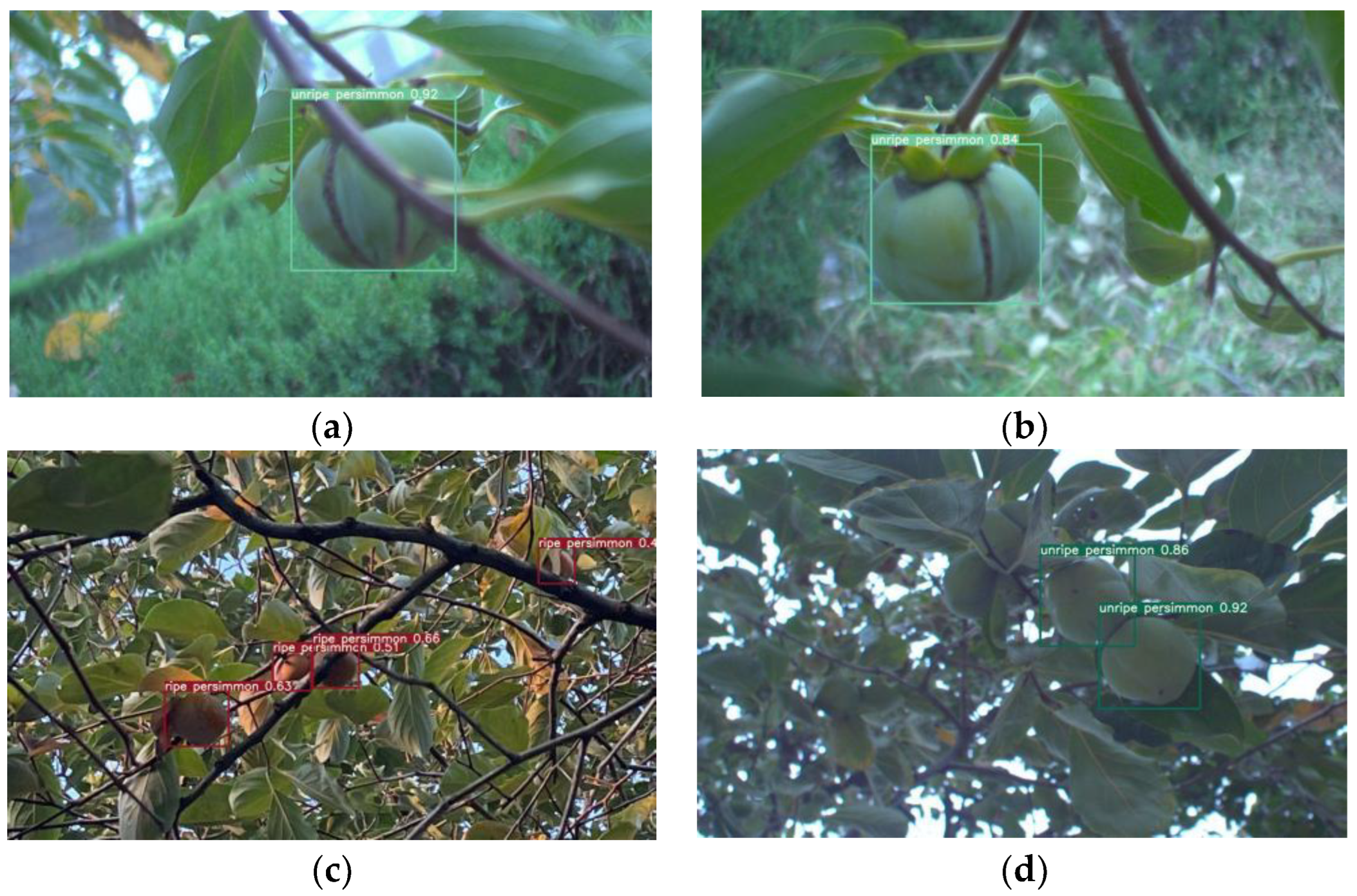 Electronics 12 00785 g015