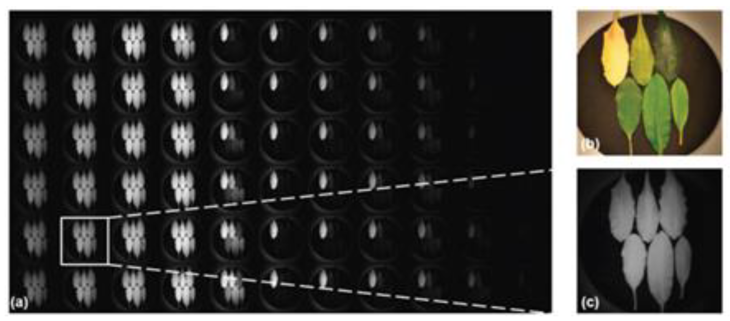 Electronics 12 00812 g036