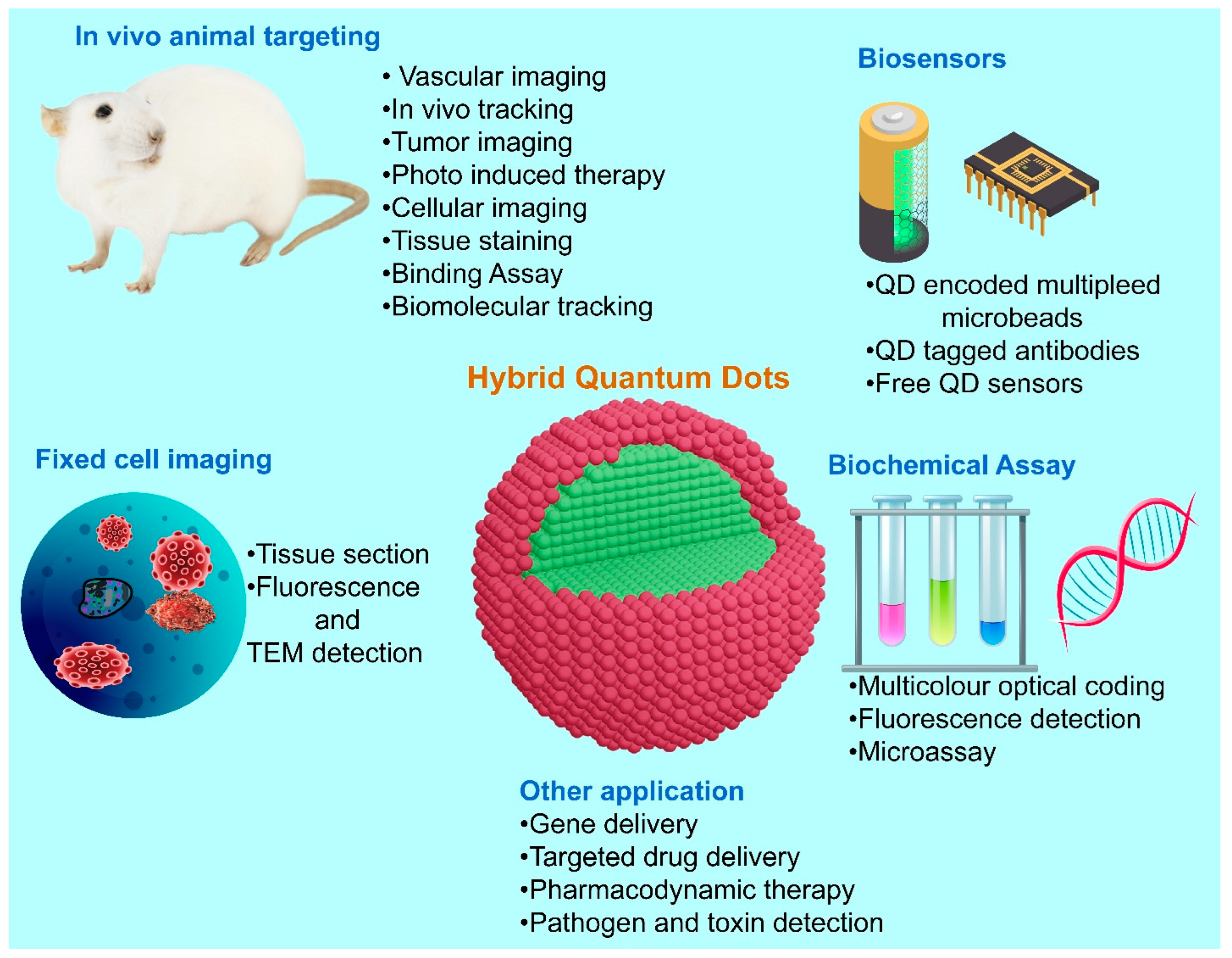 Electronics 12 00972 g002