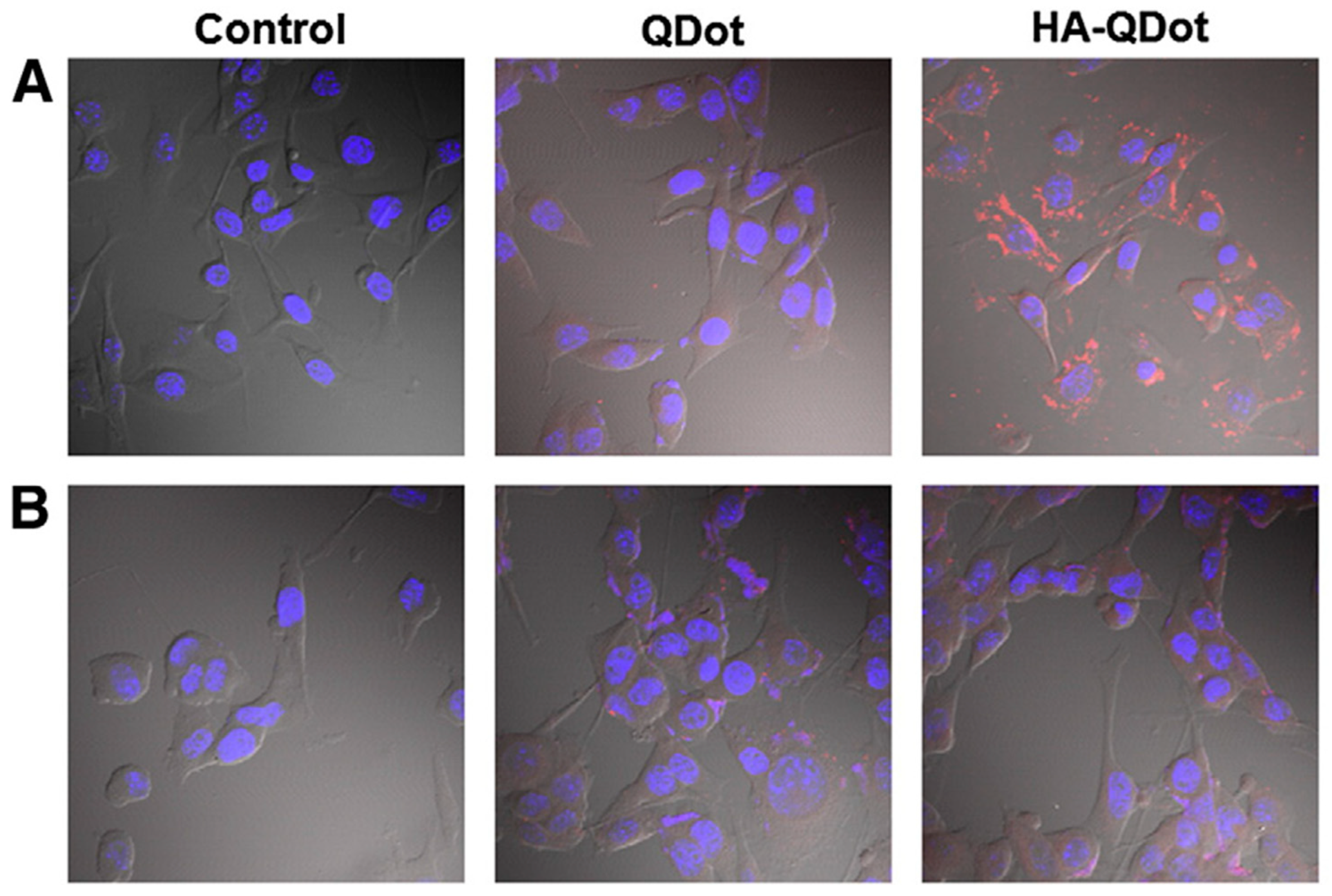 Electronics 12 00972 g004