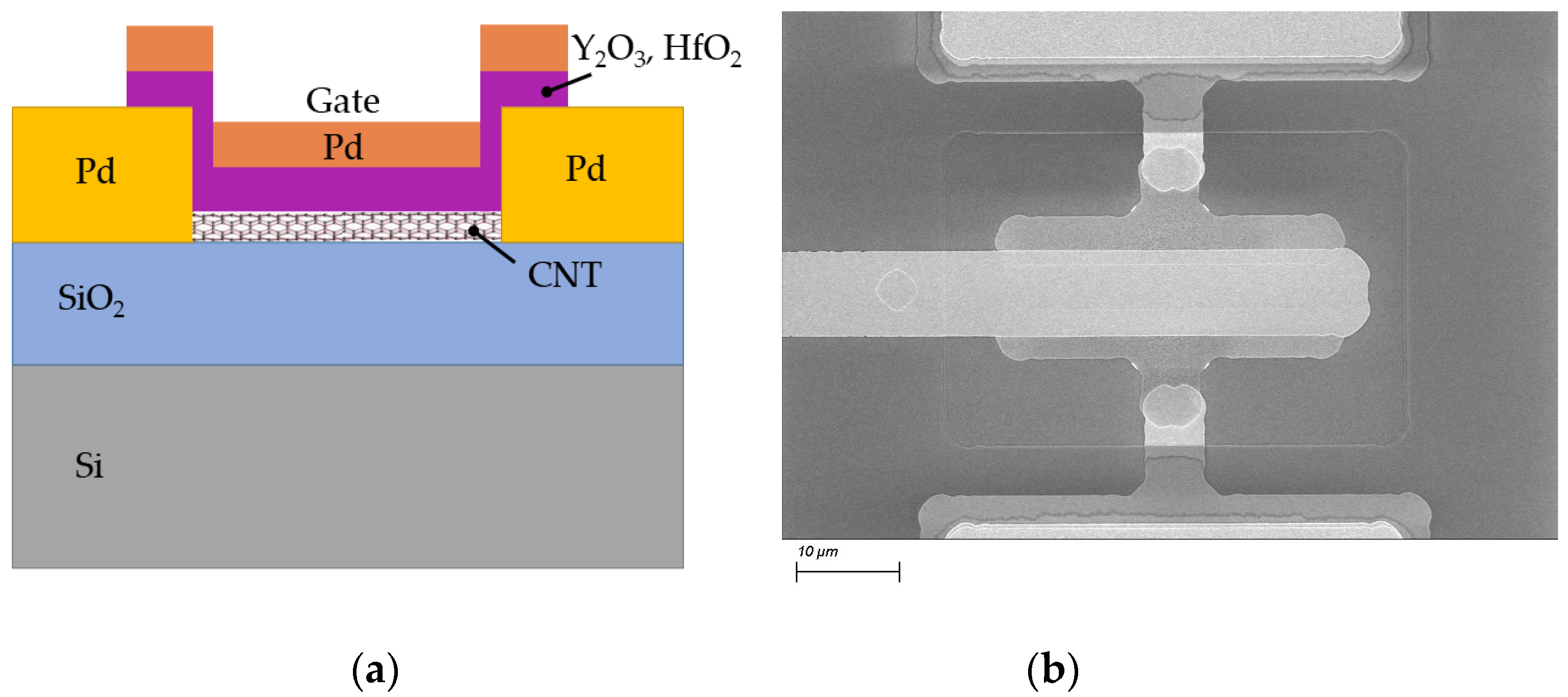 Electronics 12 01000 g001 Electronics 12 01000 g001