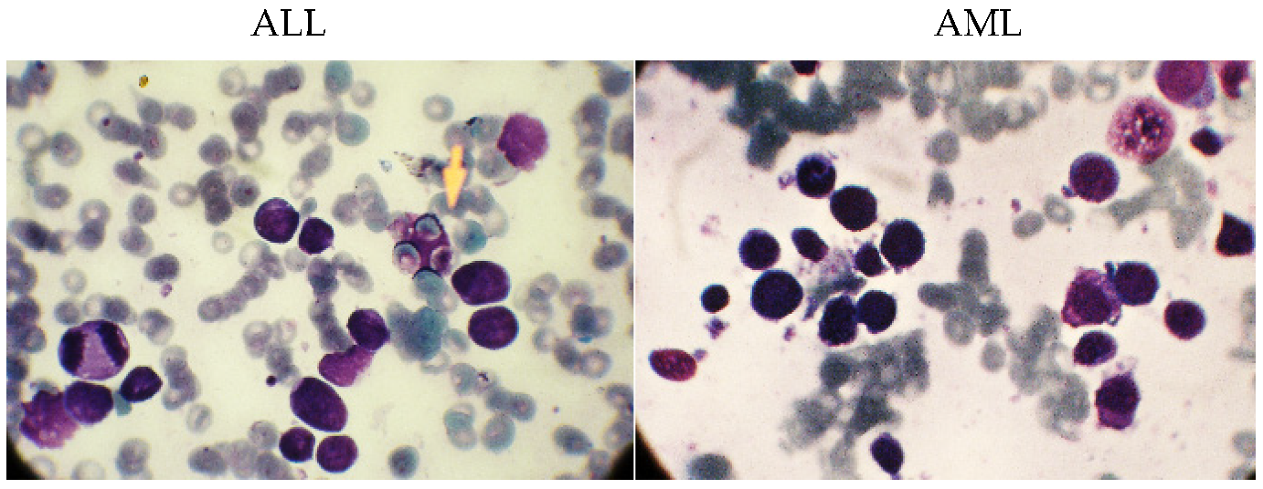 Electronics 12 01116 g002 Electronics 12 01116 g002