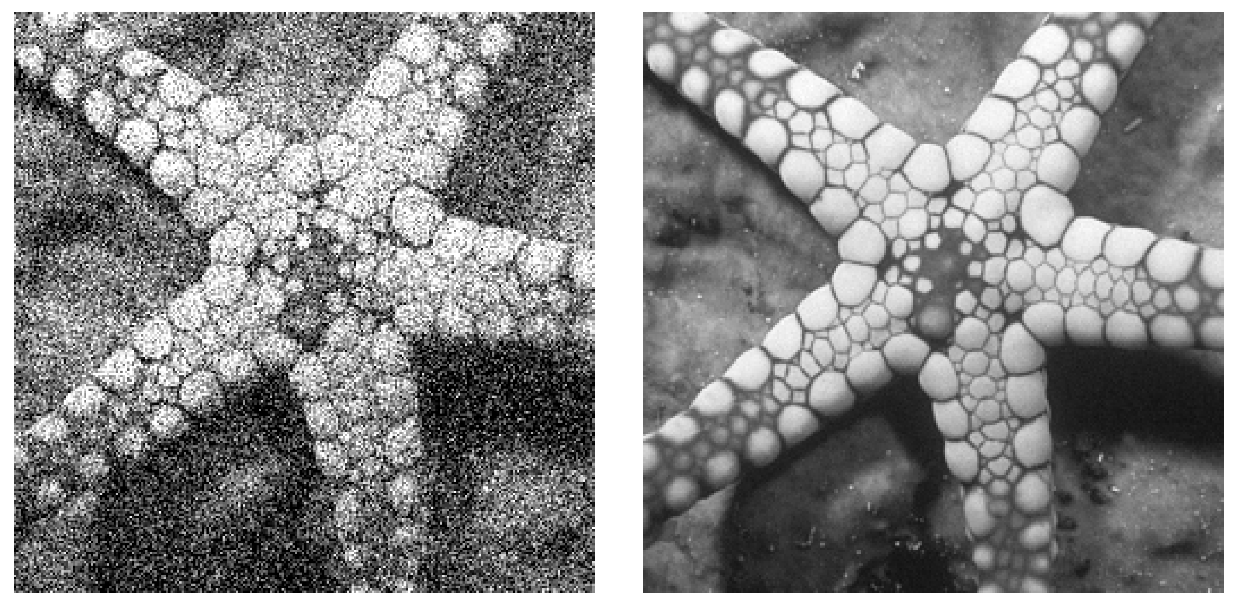 Electronics 12 01201 g008a