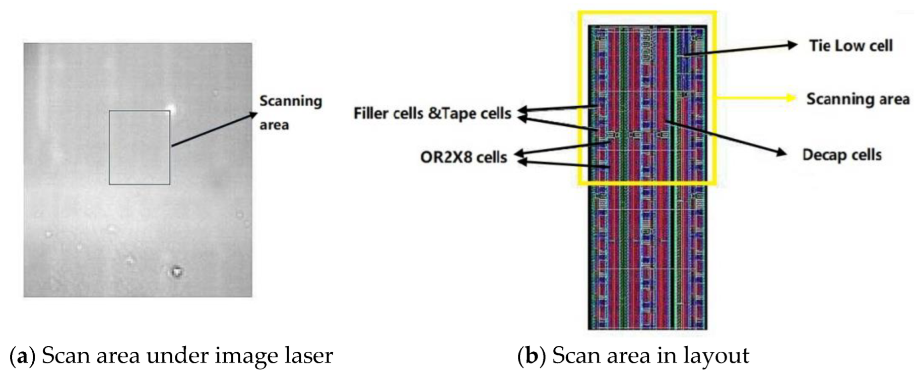 Electronics 12 01214 g003