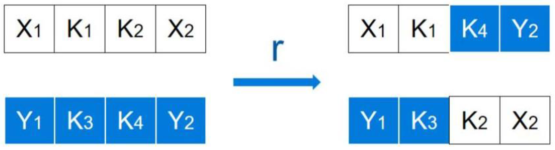 One-Dimensional Quadratic Chaotic System and Splicing Model for 