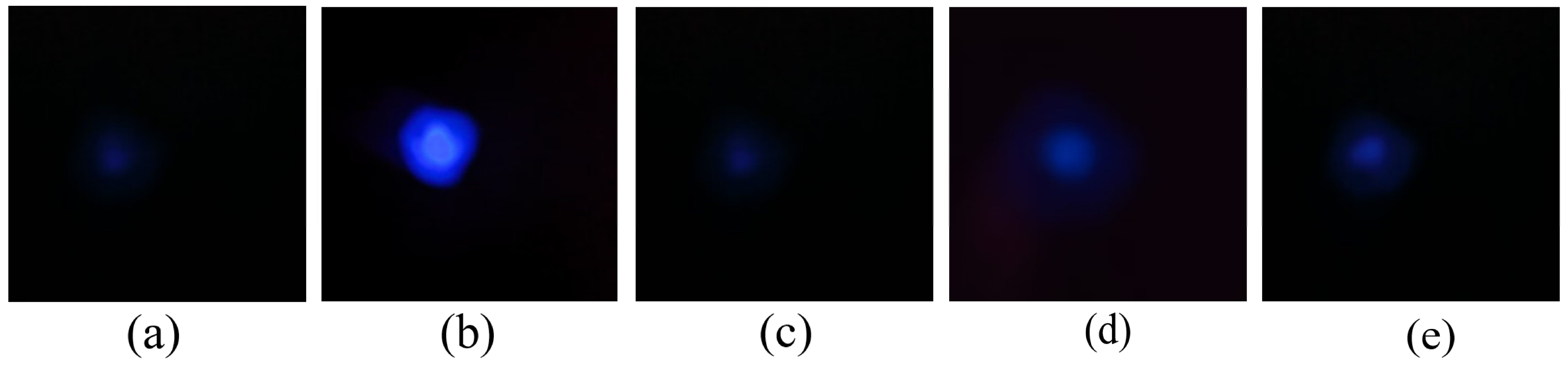 Electronics 12 01544 g003 Electronics 12 01544 g003