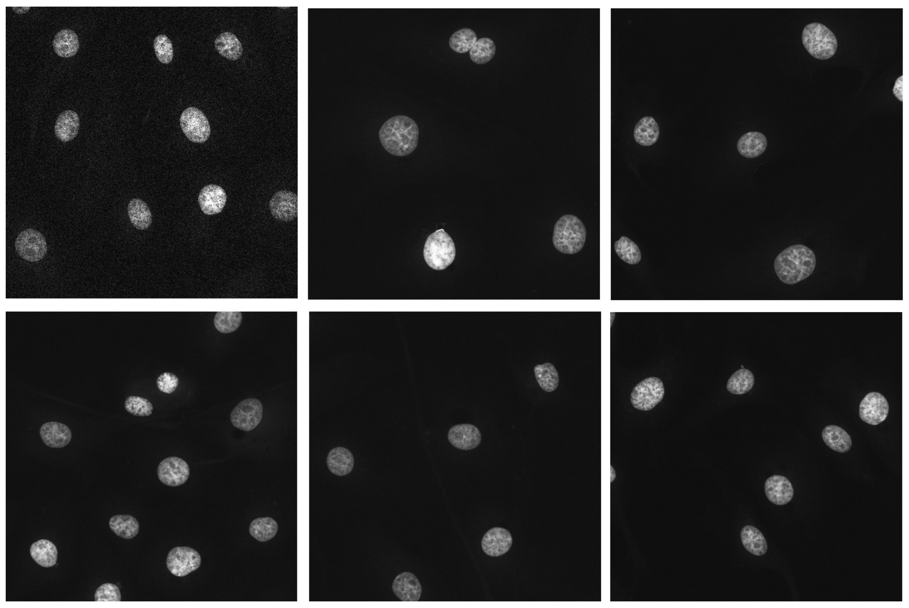 Electronics 12 01544 g018 Electronics 12 01544 g018