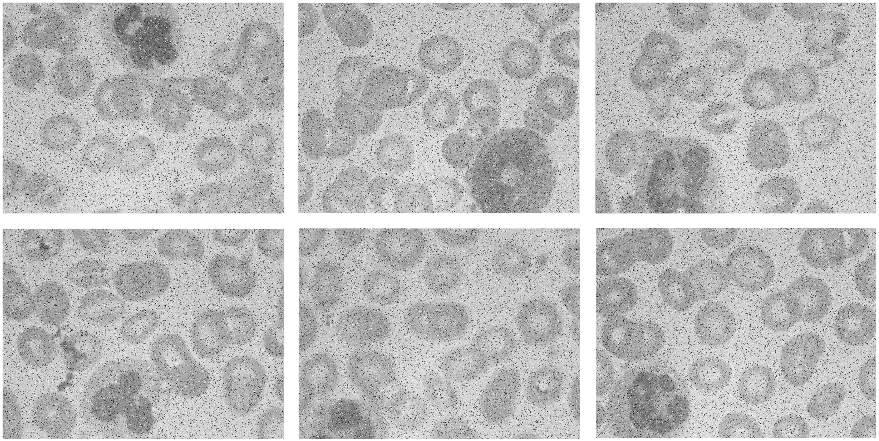 Electronics 12 01544 g019 Electronics 12 01544 g019