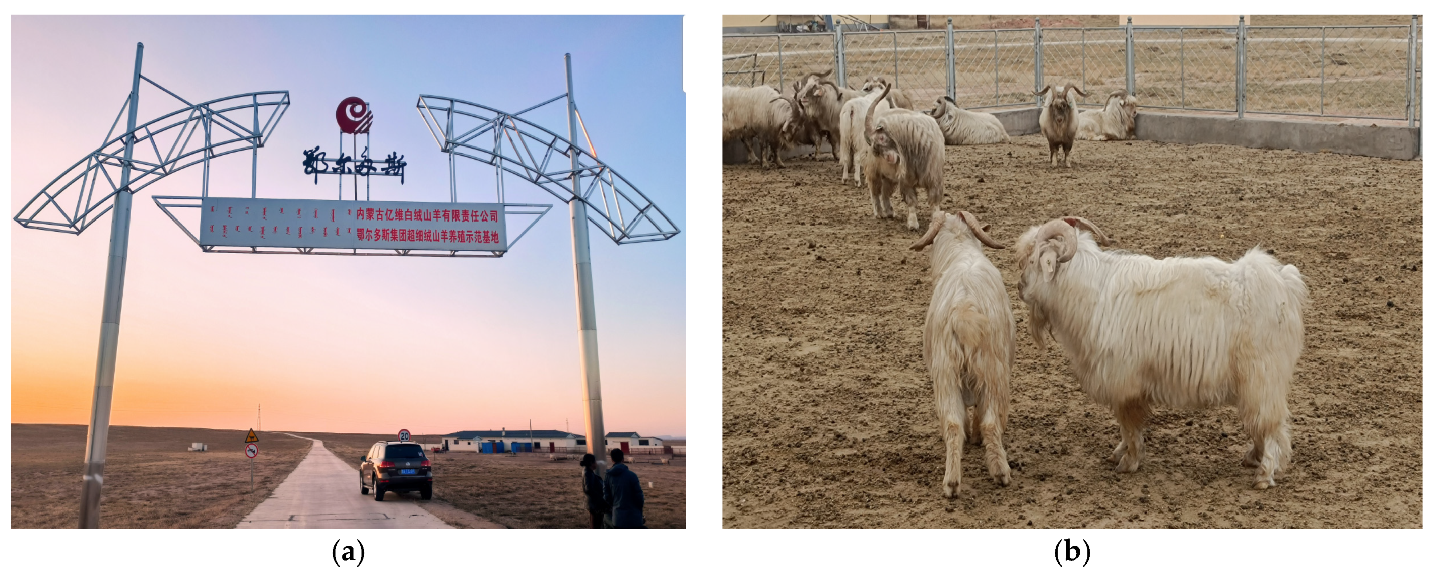 Electronics 12 01715 g020 Electronics 12 01715 g020