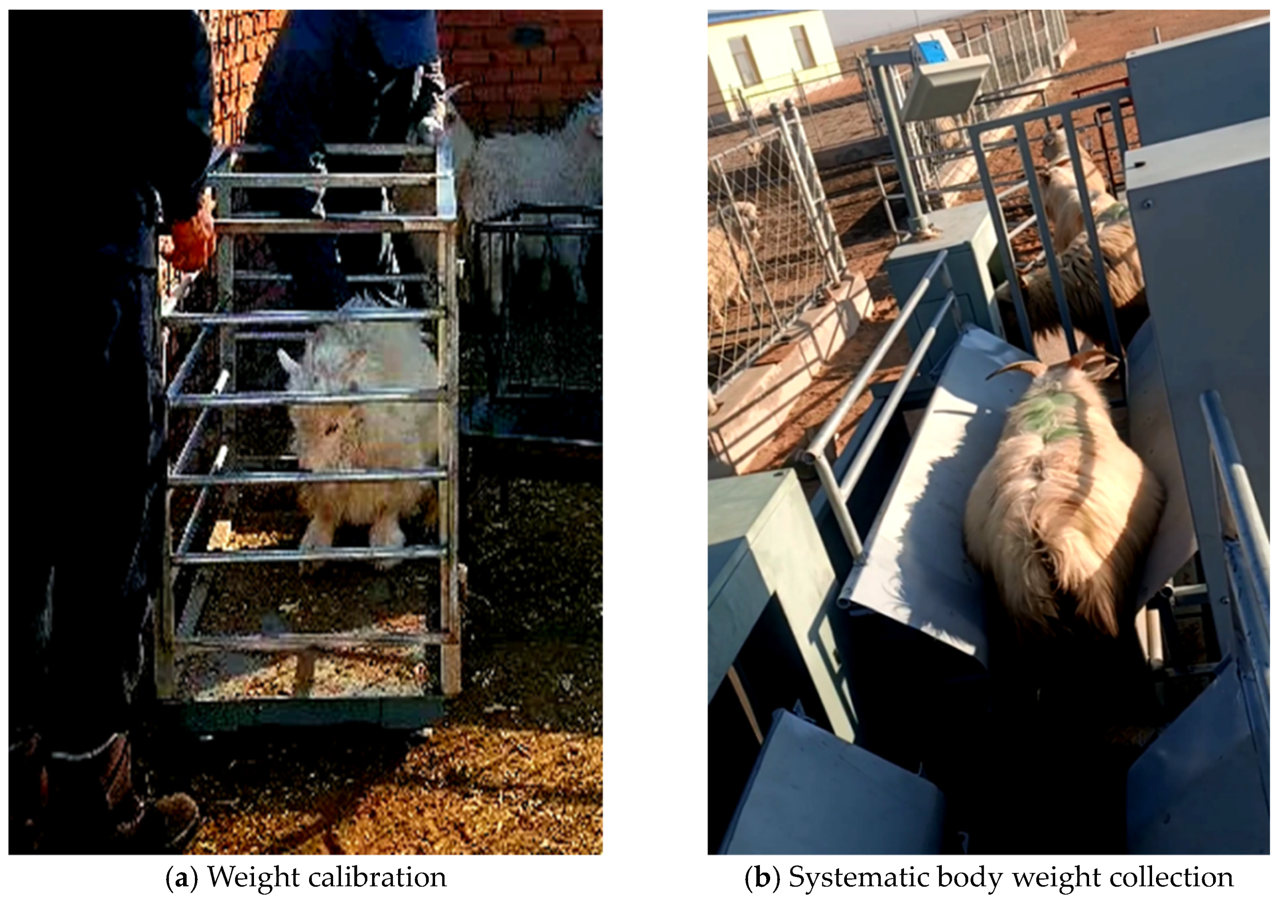 Electronics 12 01715 g021 Electronics 12 01715 g021