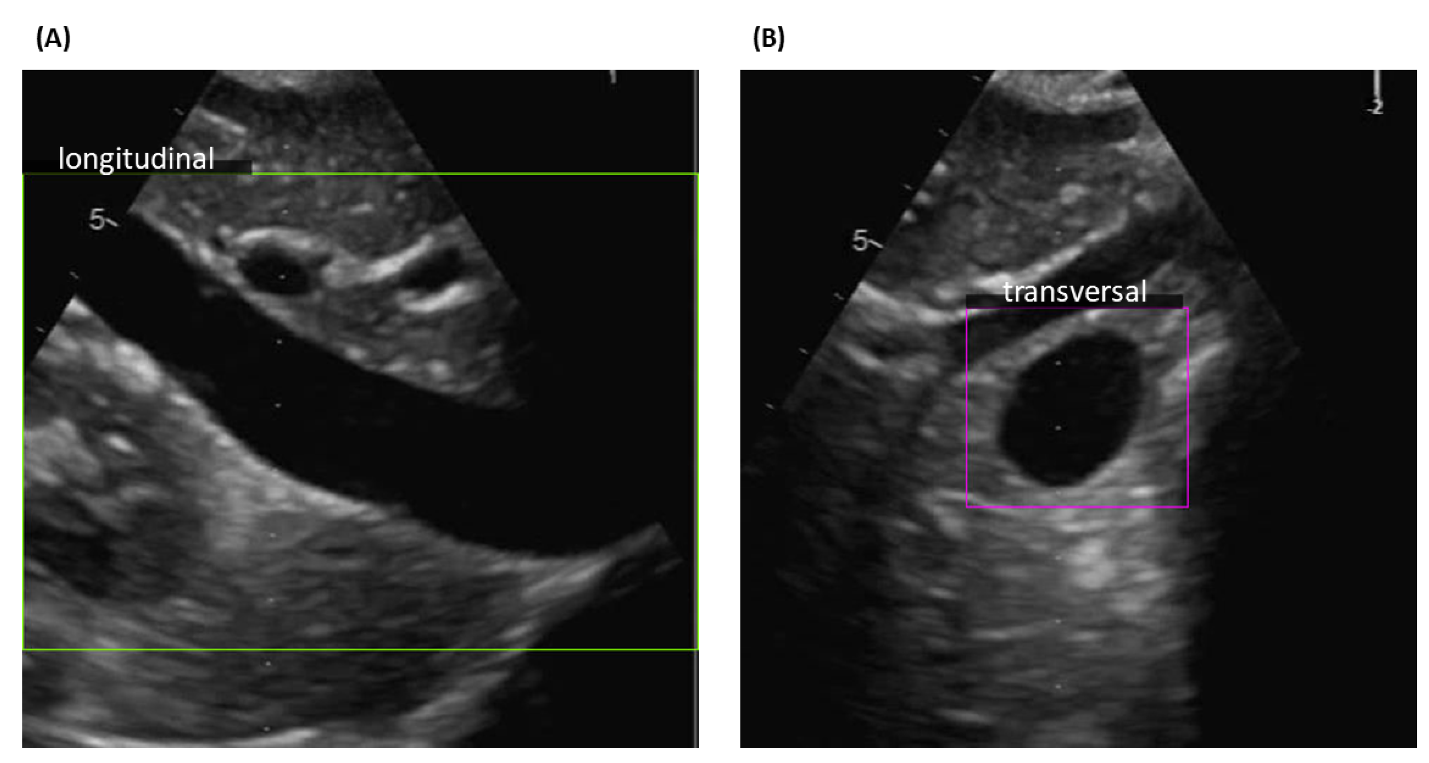 Electronics 12 01725 g002