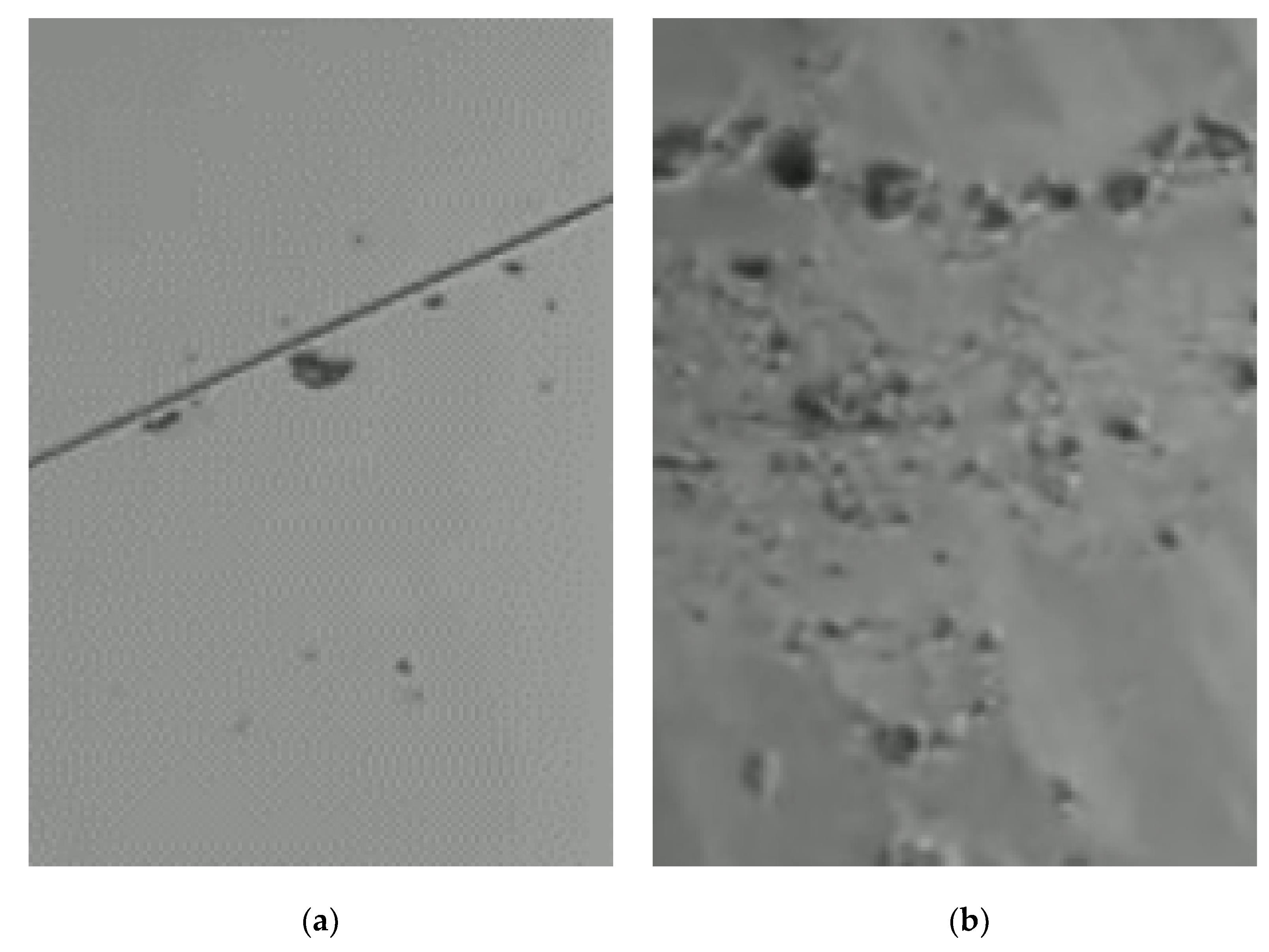 Review of Wafer Surface Defect Detection Methods