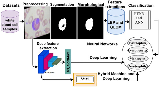Deep and Hybrid Learning Techniques for Diagnosing Microscopic Blood ...
