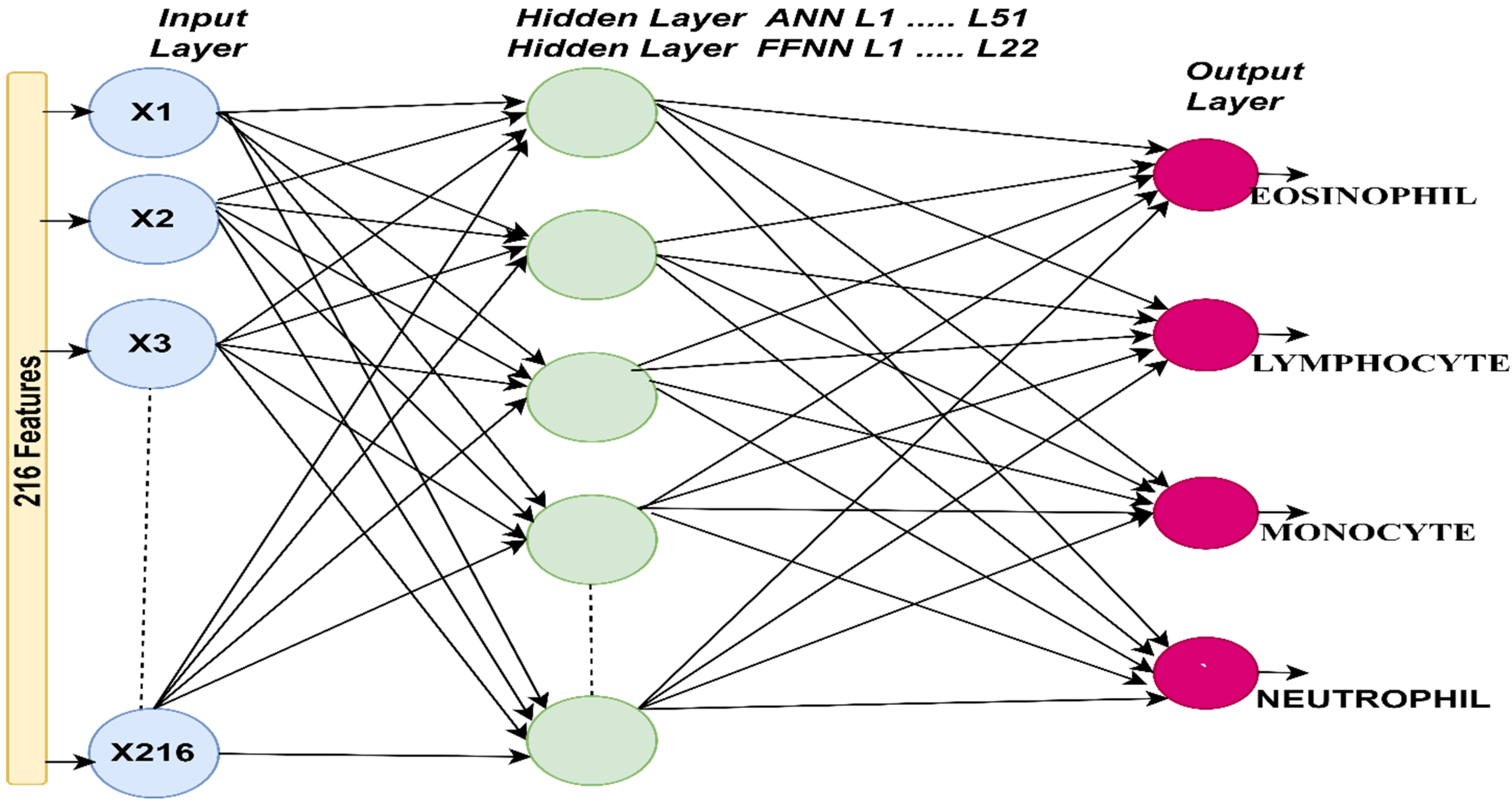 Deep and Hybrid Learning Techniques for Diagnosing Microscopic Blood ...