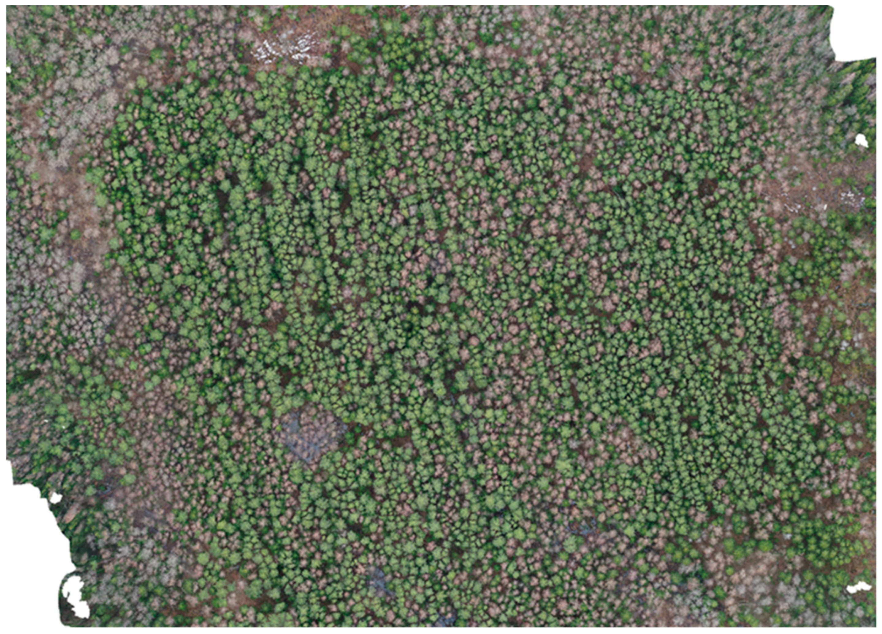 Electronics 12 01937 g003