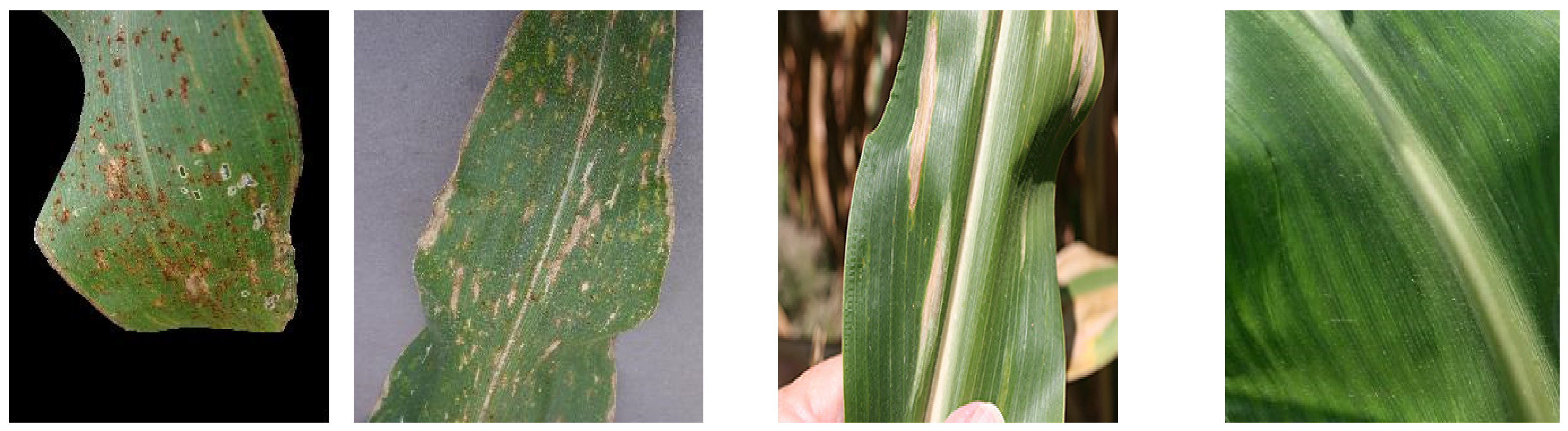 Electronics 12 01938 g003