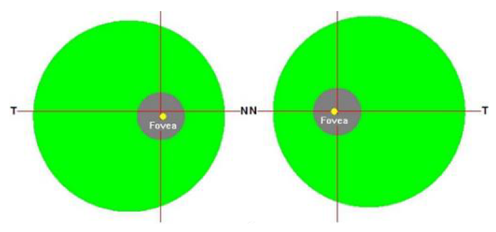 Electronics 12 02013 g010
