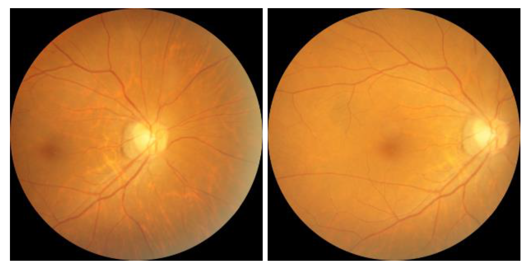 Electronics 12 02013 g012