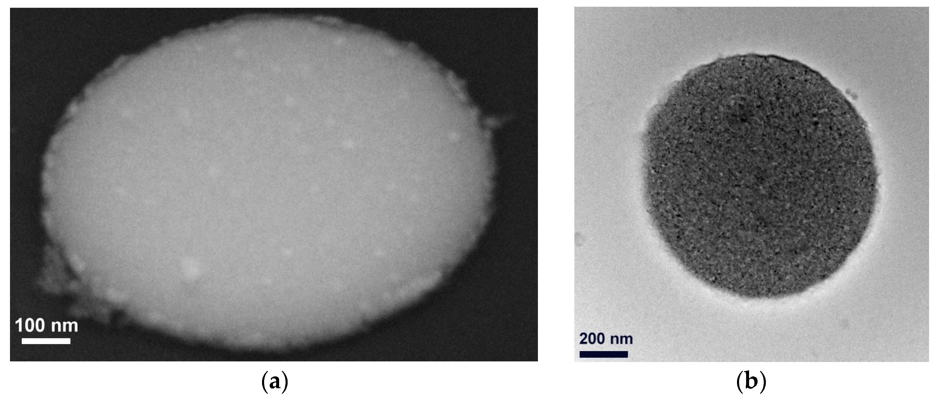Electronics 12 02144 g006