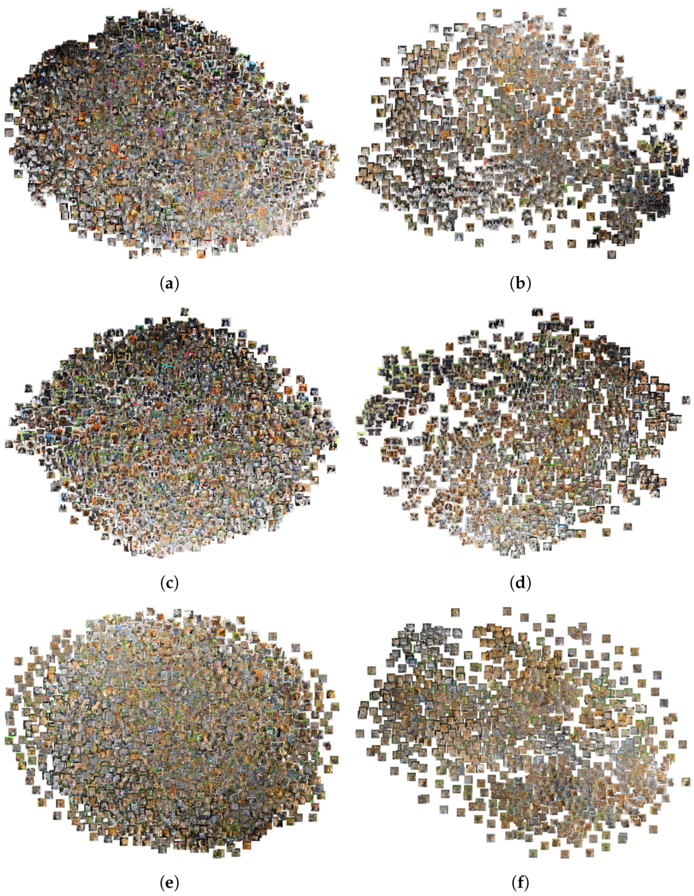 Electronics 12 02192 g006