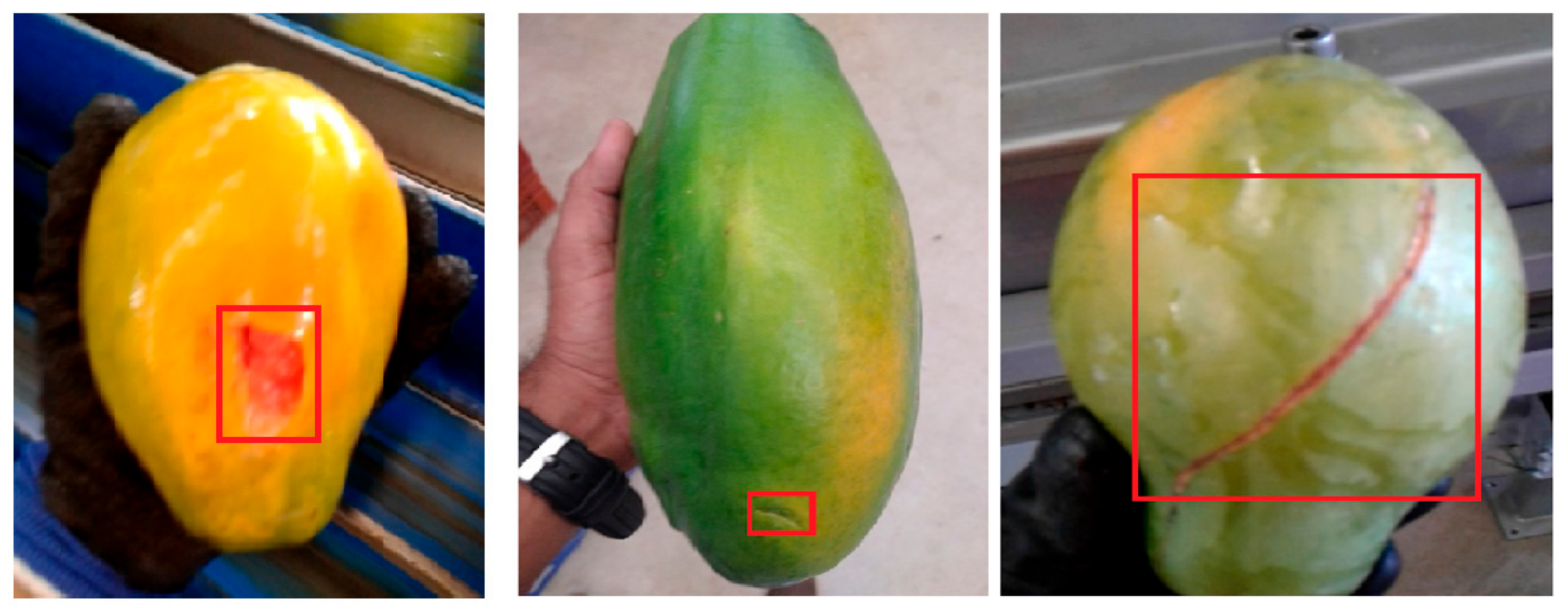 Electronics 12 02202 g002