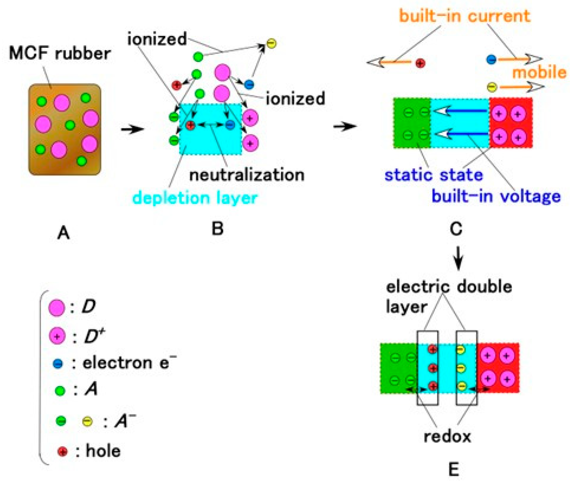 特価ブランド Response of Elucidation and of Mechanisms Electrochemical 邦画・日本映画